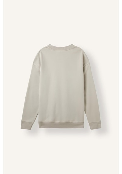 Defacto Boxy Fit Uzun Kollu Pamuklu Bisiklet Yaka İçi Yumuşak Tüylü Baskılı Sweatshirt X8282az26aubg672 Bej-bg672