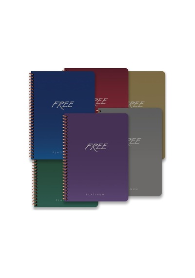 16,5 22,5 80 Yaprak Kareli Pp Kap.free Platinum Defter Çok Renkli