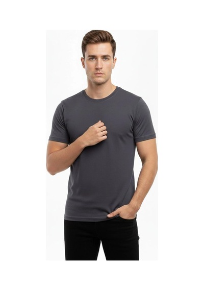 Erkek Bisiklet Yaka Slim Fit Dar Kesim Likralı Tişört - Füme