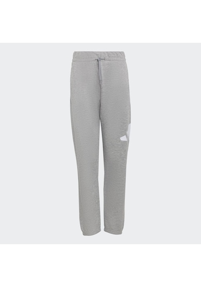 Adidas Jv9915 J Bl Ft Pt 280 Çocuk Eşofman Altı Gri