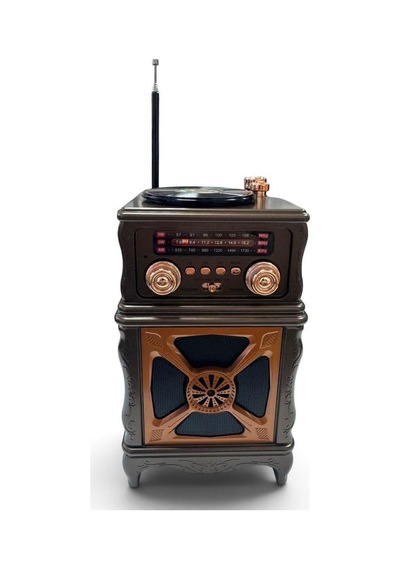Feexot Fx-2501b Nostajik Radyo Bluetooth Hoparlör