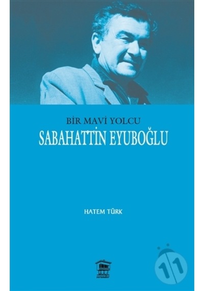 Bir Mavi Yolcu