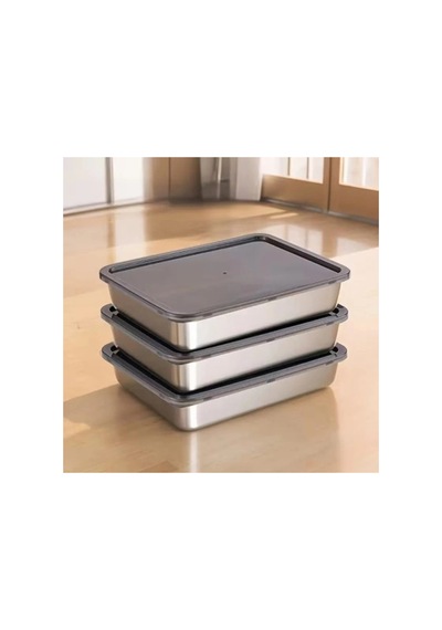 Herşeytrend Çok Amaçlı Paslanmaz Çelik Fırın Ve Saklama Kabı 25x20x5 Cm Çok Renkli