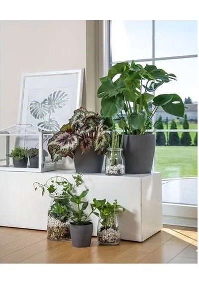 Sumuhome Persıllade Toprak Saksı Koyu Gri 12 Cm