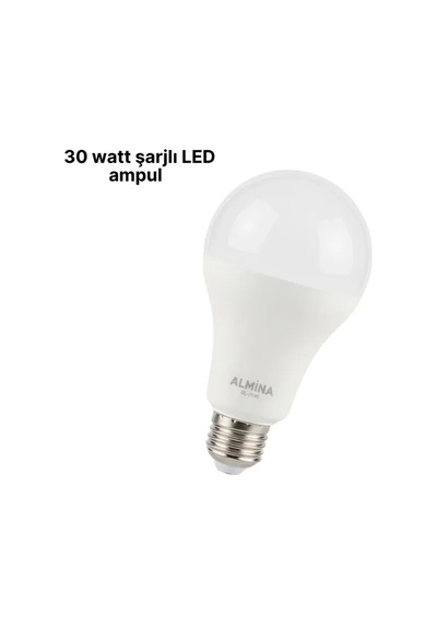 Dl-2030 Şarjlı Led Ampul Standart