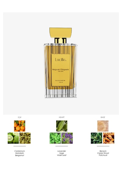 Lucille Majeste Erkek Parfüm Aromatik Koku, 100 Ml Edp