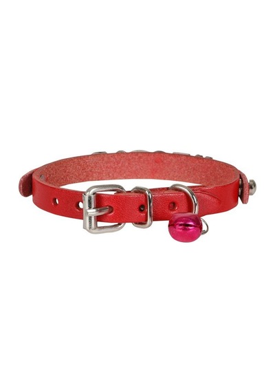 Cattie İsimlikli Deri Kedi Boyun Tasması M 1x21-25 CM Kırmızı