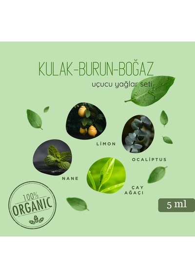 Kulak-burun-boğaz Mix Aromatik Yağ Seti 4 Lü