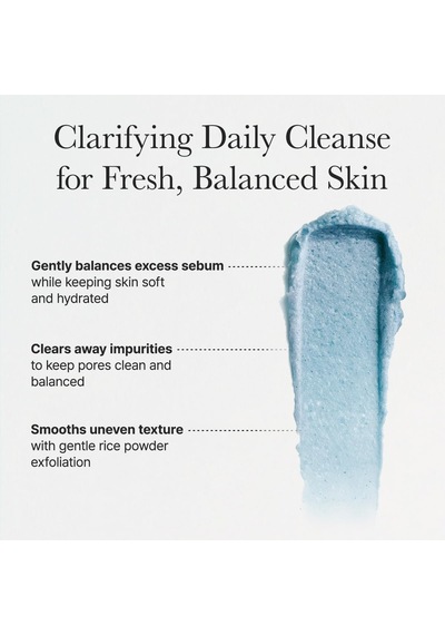 Fresh Blue Hyssop Rice Mochi Cleanser