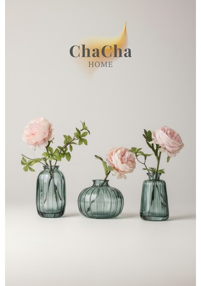 Chacha Home 3'lü Minimalist Dekor Cam Vazo - Turkuaz Turkuaz