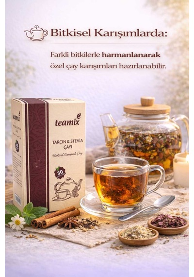 Tarçın Stevia Çayı 60 Gr 30 Süzen Poset