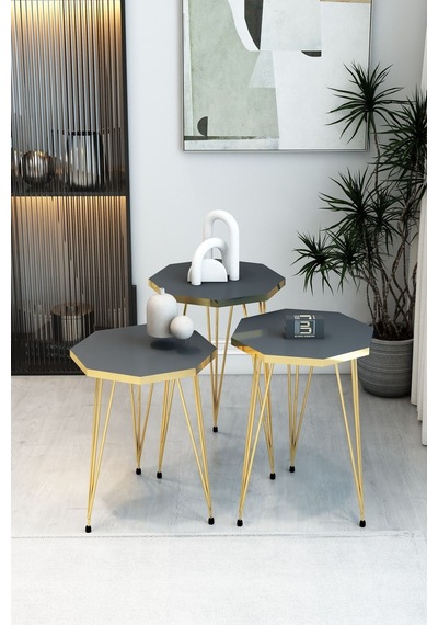 3'lü Sekizgen Zigon Sehpa Ve Dikdörtgen Orta Sehpa Takımı Modern Gold Metal Ayaklı Salon Sehpa Seti Antrasit 3'lü Sekizgen Zigon Sehpa Ve Dikdörtgen Orta Sehpa Takımı Modern Gold Metal Ayaklı Salon Sehpa Seti Antrasit