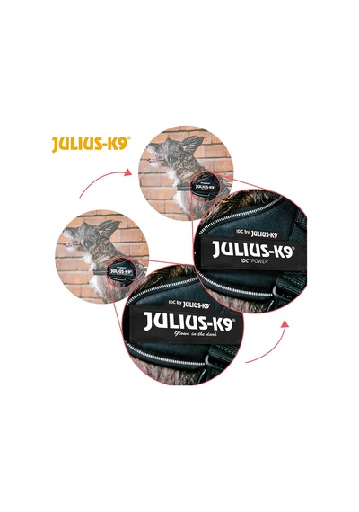 Julius-k9 Idc Güç Donanımı, Boyut: L/1, Koyu Mor Çok Renkli