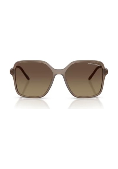 Armani Exchange Güneş Gözlüğü Ax4163s 53 8396t5 Kahverengi