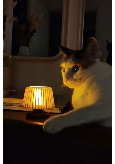 Orion Dekoratif Led Tealight Mumluk Masaüstü Aydınlatma 1 Adet 7x7,5 Cm Ahşap