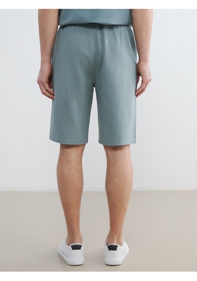 Lcwaıkıkı Classic Yeşil Regular Fit Erkek Şort