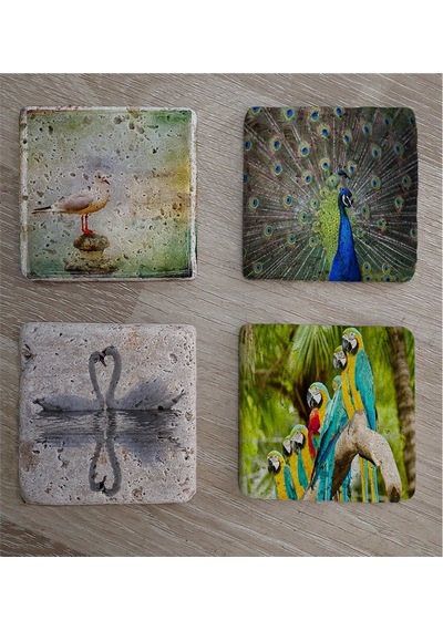 Martı Tavuskuşu Papağanlar Kuğular Doğal Taş Bardak Altlığı 4'lü Set - Natural Stone Coasters - Taş Çok Renkli
