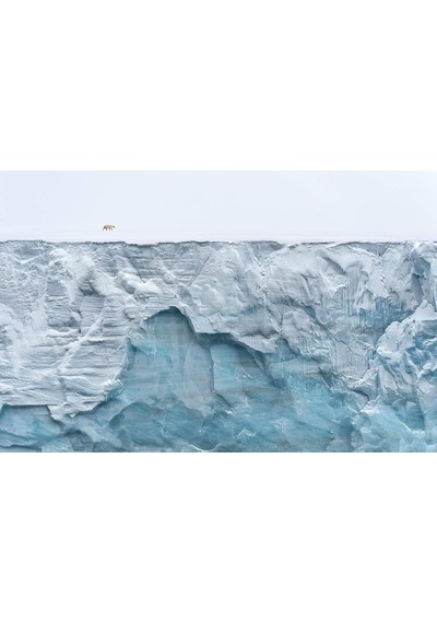Our Planet: The Official Companion To The Ground-breaking Netflix Original Attenborough Series With