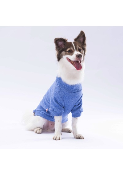 Pawstar Mavi Merino Sweat Küçük ve Orta Irk