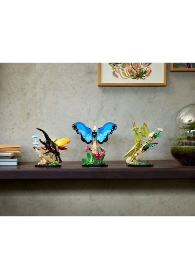 LEGO Ideas 21342 Böcek Koleksiyonu 1111 Parça