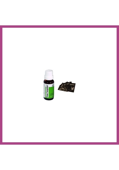 Gees Global Hepsidahice Green Temptation D9 Kadın + 5li Pboy Lubricant Jel Gbzs