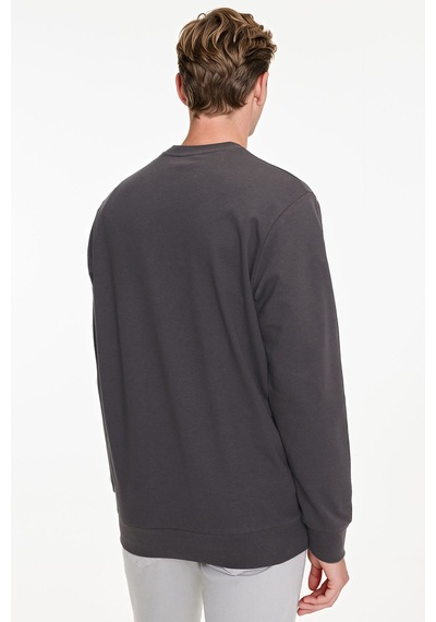 Ac&Co / Altınyıldız Classics Erkek Fume Pamuklu Standart Fit Normal Kesim 2 İplik Bisiklet Yaka Sweatshirt