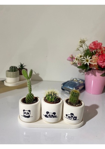 Tabaklı 3lü Panda Silueti Saksı Seti