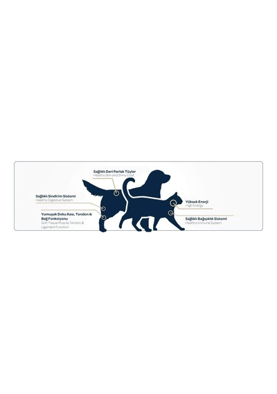 Premium Biftekli Köpek Maması 15 Kg - Hipoalerjenik, Bağışıklık Destekleyici, Sindirimi Kolay, Yüksek Proteinli Mama