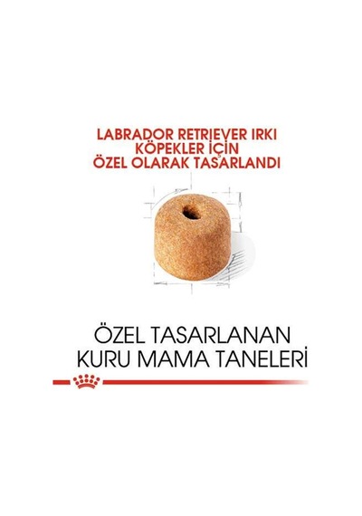 Royal Canin Labrador Retriever Irk Köpek Maması 12 Kg