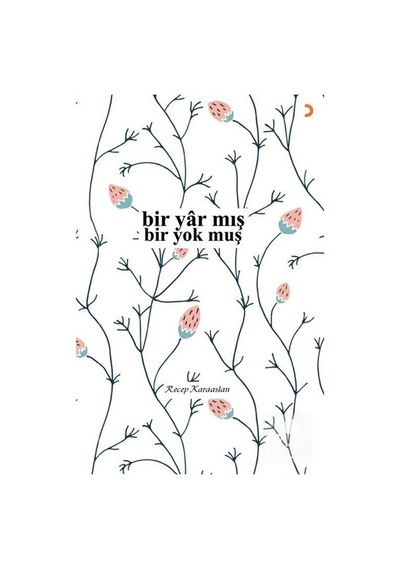 Bir Yar mış Bir Yok muş - Recep Karaaslan - Cinius