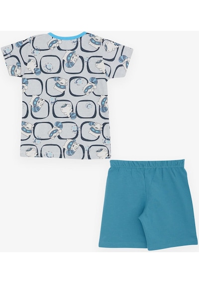 Breeze Girls & Boys Erkek Bebek Pijama Takımı Sevimli Rakun Desenli 9 Ay-3 Yaş, Gri-gri Gri