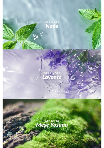 Wish Of Love Kadın Parfüm Ve Musk Marine Erkek Parfüm Paketi Diğer
