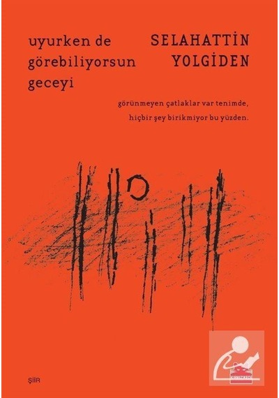 Uyurken de Görebiliyorsun Geceyi - Selahattin Yolgiden - Kırmızı Kedi