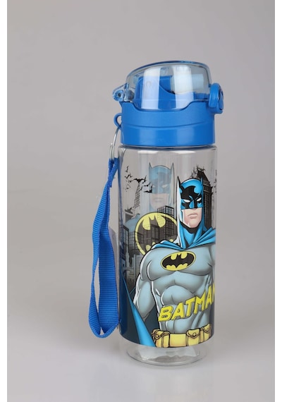 Lisanslı Batman Trıtan 500 Ml Matara Diğer