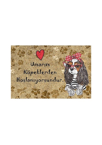 Monnhein Tasarımlı Dekoratif Kapı Önü Paspas, Dış Mekan/ev İçi/banyo/mutfak/yatak Odası/giriş Paspasları Umarım Köpeklerden Hoşlanıyorsundur, 45x70 Açık Bej