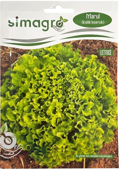 Simagro Kışlık Kıvırcık Marul Tohumu 10gr Paket 1 Paket