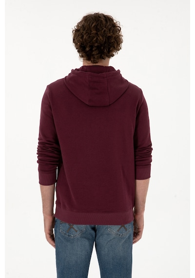 U.S. Polo Assn. Erkek Regular Fit Kapüşonlu Koyu Bordo Basic Sweatshirt 50313720-VR177