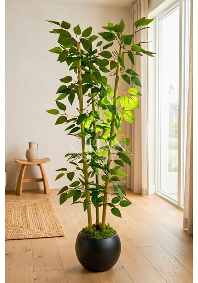 Yapay 3 Bambulu Benjamin Ağacı 110 Cm - 27 33 Siyah Küre Saksılı Beyaz