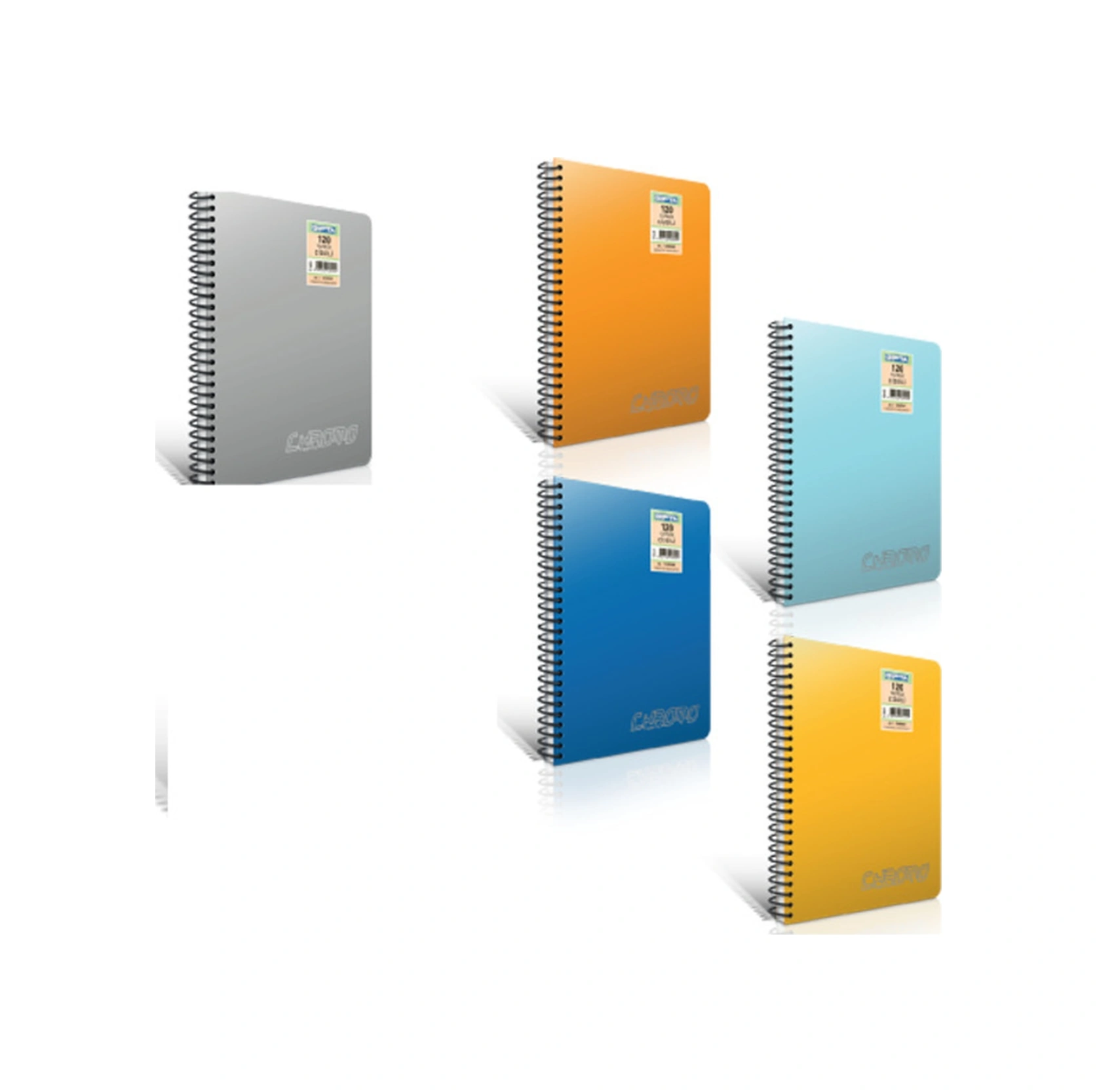 Spiralli Defter 12 Adet Chromo Plastik Kapak Çizgili 80 Yp A4 1337