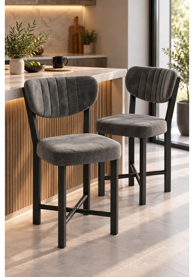 Sulorahome Metal Mutfak Sandalyesi 2'li Set Charcoal grey
