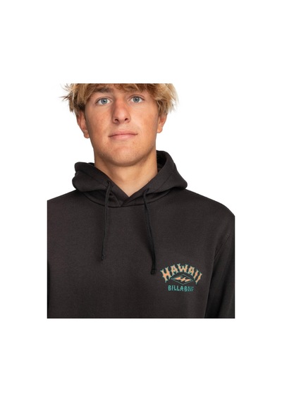 Billabong Ebysf00128 Arch Dreamy Place Po Sweat Siyah Erkek Sweatshirt Siyah
