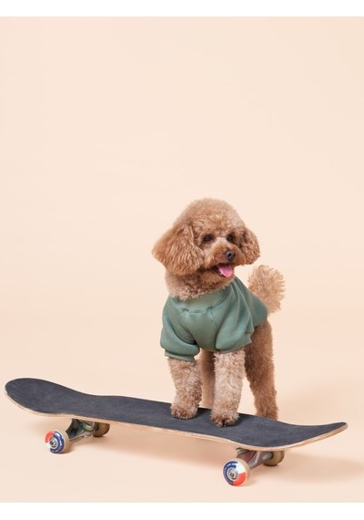 Duckdash Küçük ve Orta Irk Köpekler İçin Köpek Sweatshirt