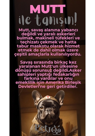 Petjoo 10.Mutt Gri-Pembe Qr'lı Köpek Künyesi