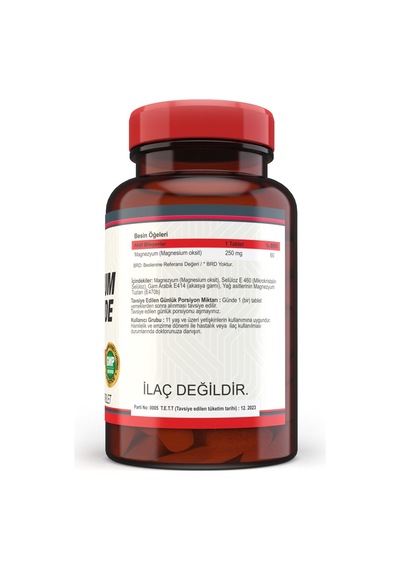 Nevfix Magnesium Oxide Magnezyum 250 MG 120 Tablet