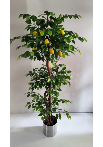 Rüzgar Yapay Çiçekçilik 180 Cm Limon Ağacı Yeşil
