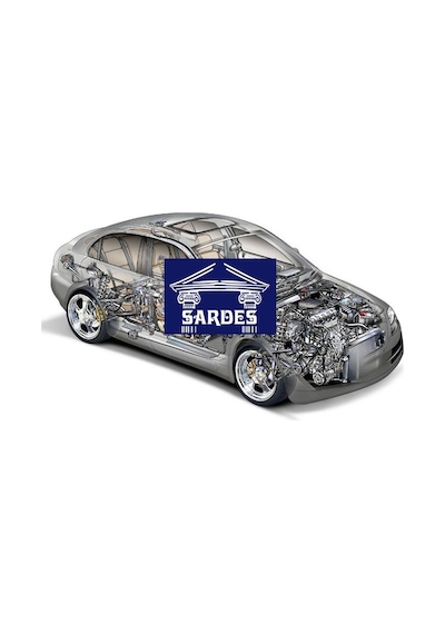 Sardes So1194/1 Sardes