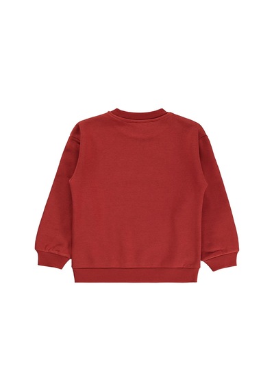 Silversun Kids Silversun 1975 Aslan Baskılı 2-7 Yaş Sweatshirt - Bordo