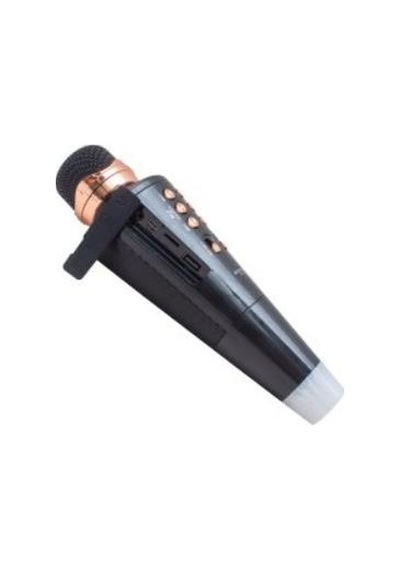 Everton Rt-704 Wireless-Tf-Aux Kablosuz  Karaoke Mikrofon