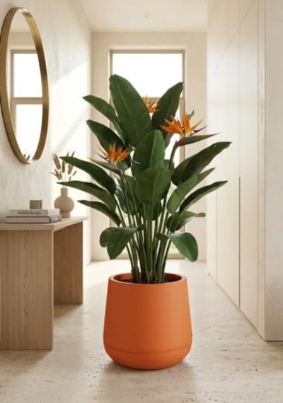 Dekoratif Modern Tabak Saksı, 34x28 Cm, Turuncu, Plastik