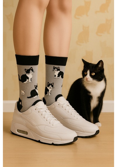 Carnaval Socks Smokin Kedi Desenli Renkli Soket Çorap Çok Renkli